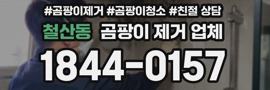 철산동 곰팡이 제거 업체
