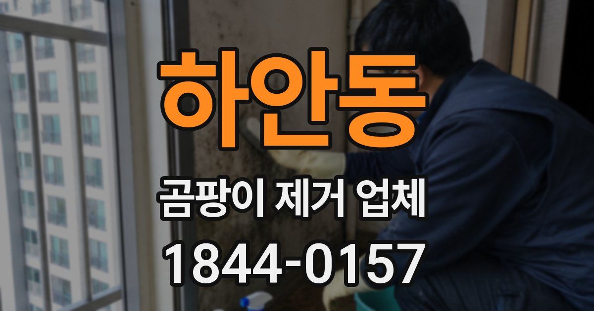 하안동 곰팡이 제거 업체