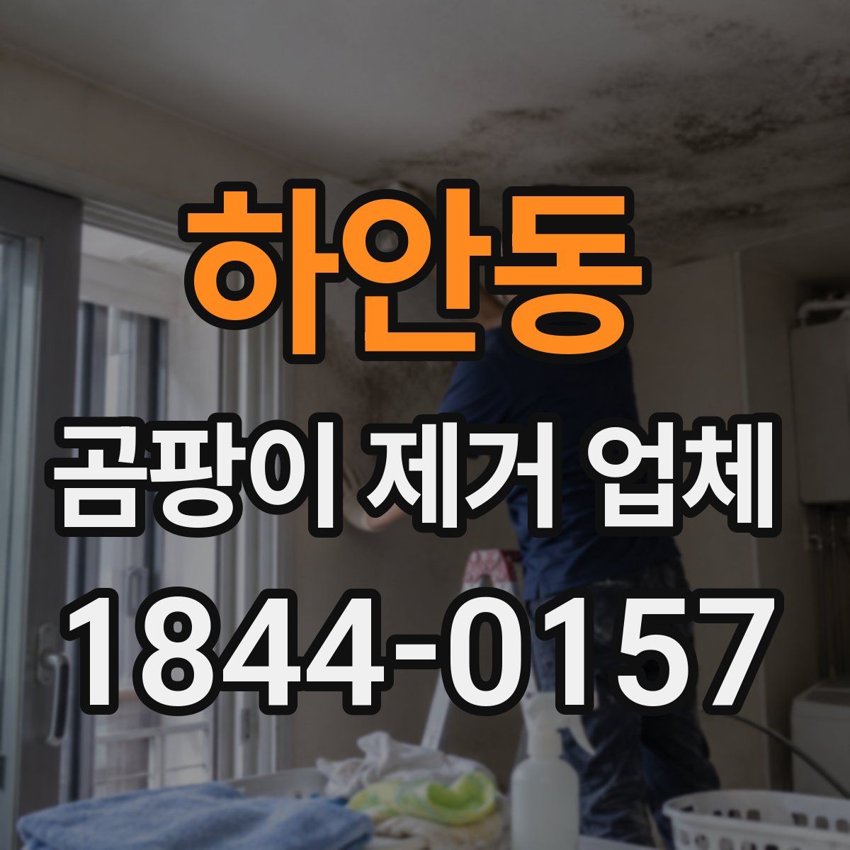 하안동 곰팡이 제거 업체