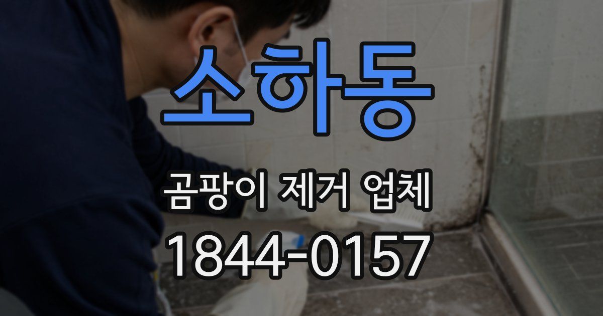소하동 곰팡이 제거 업체