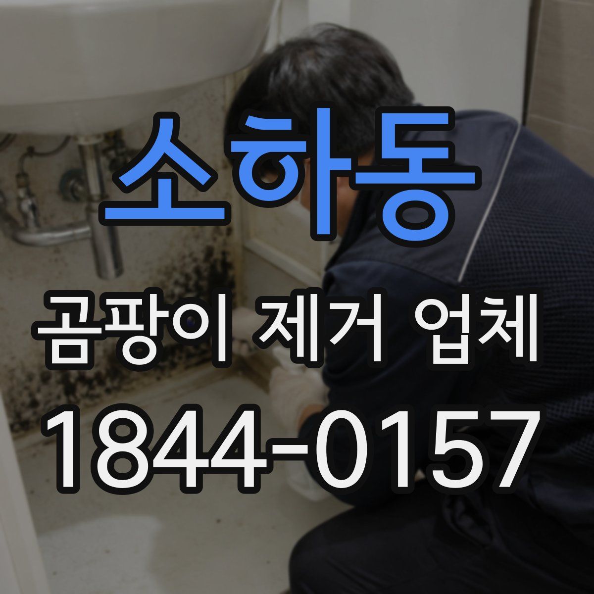 소하동 곰팡이 제거 업체