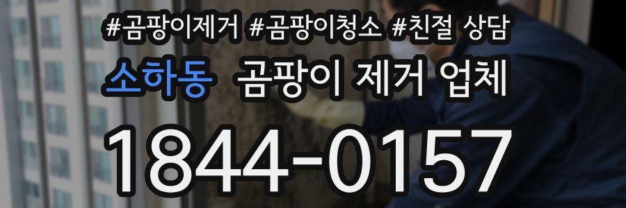 소하동 곰팡이 제거 업체