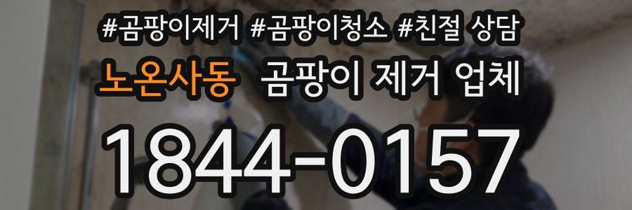 노온사동 곰팡이 제거 업체