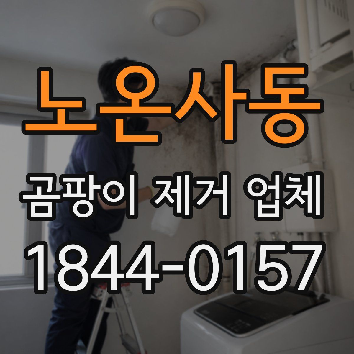 노온사동 곰팡이 제거 업체