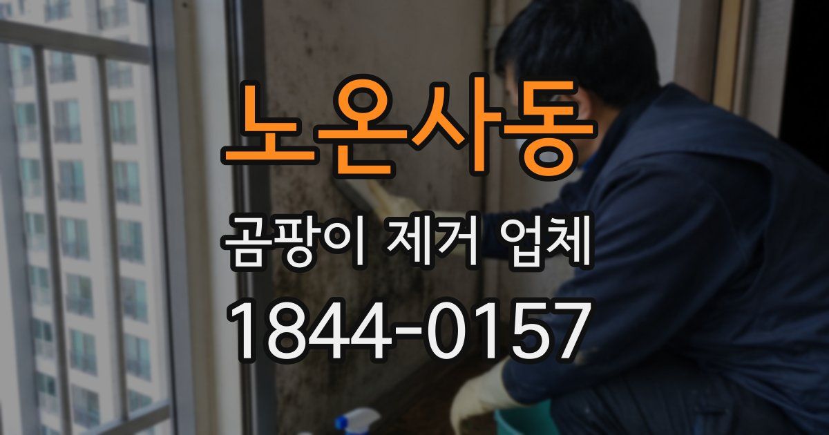 노온사동 곰팡이 제거 업체
