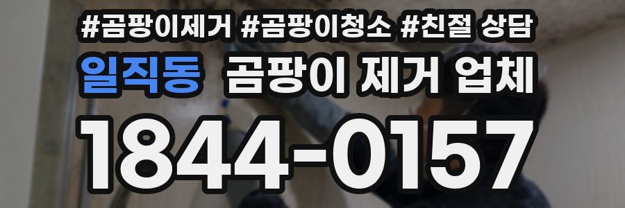 일직동 곰팡이 제거 업체
