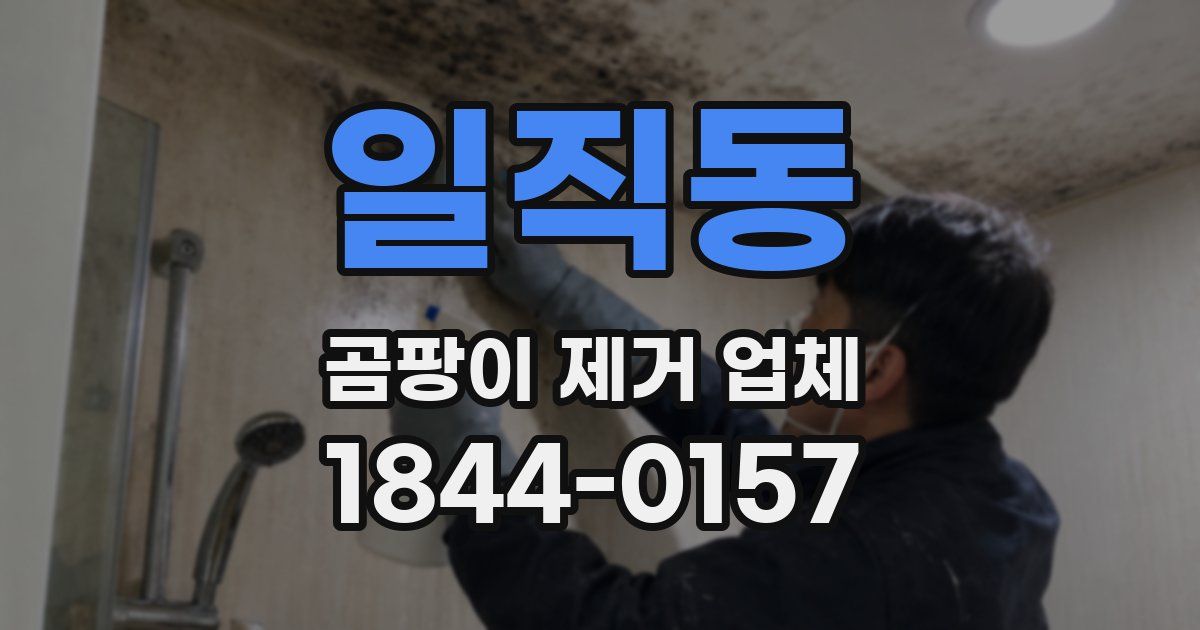 일직동 곰팡이 제거 업체