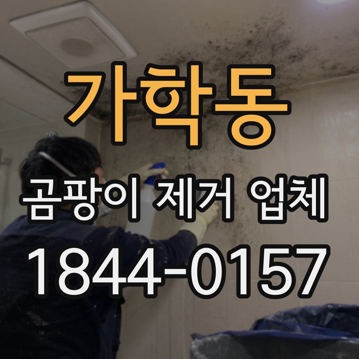가학동 곰팡이 제거 업체