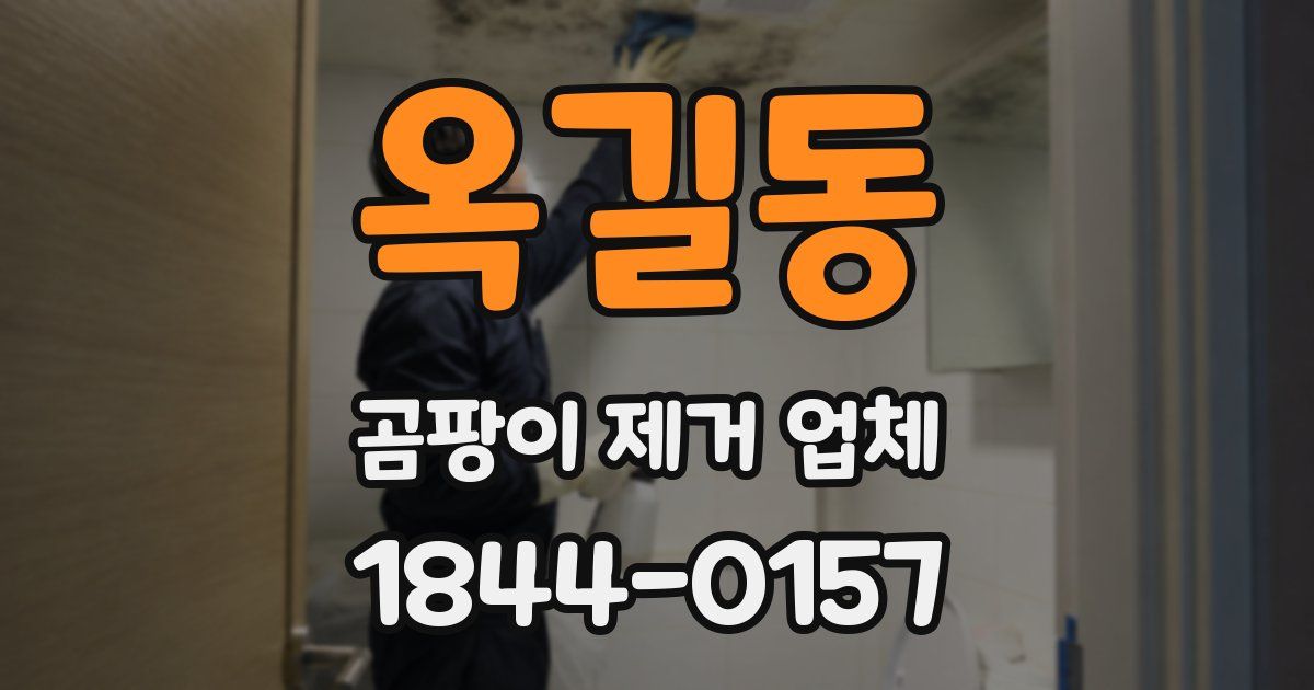 옥길동 곰팡이 제거 업체