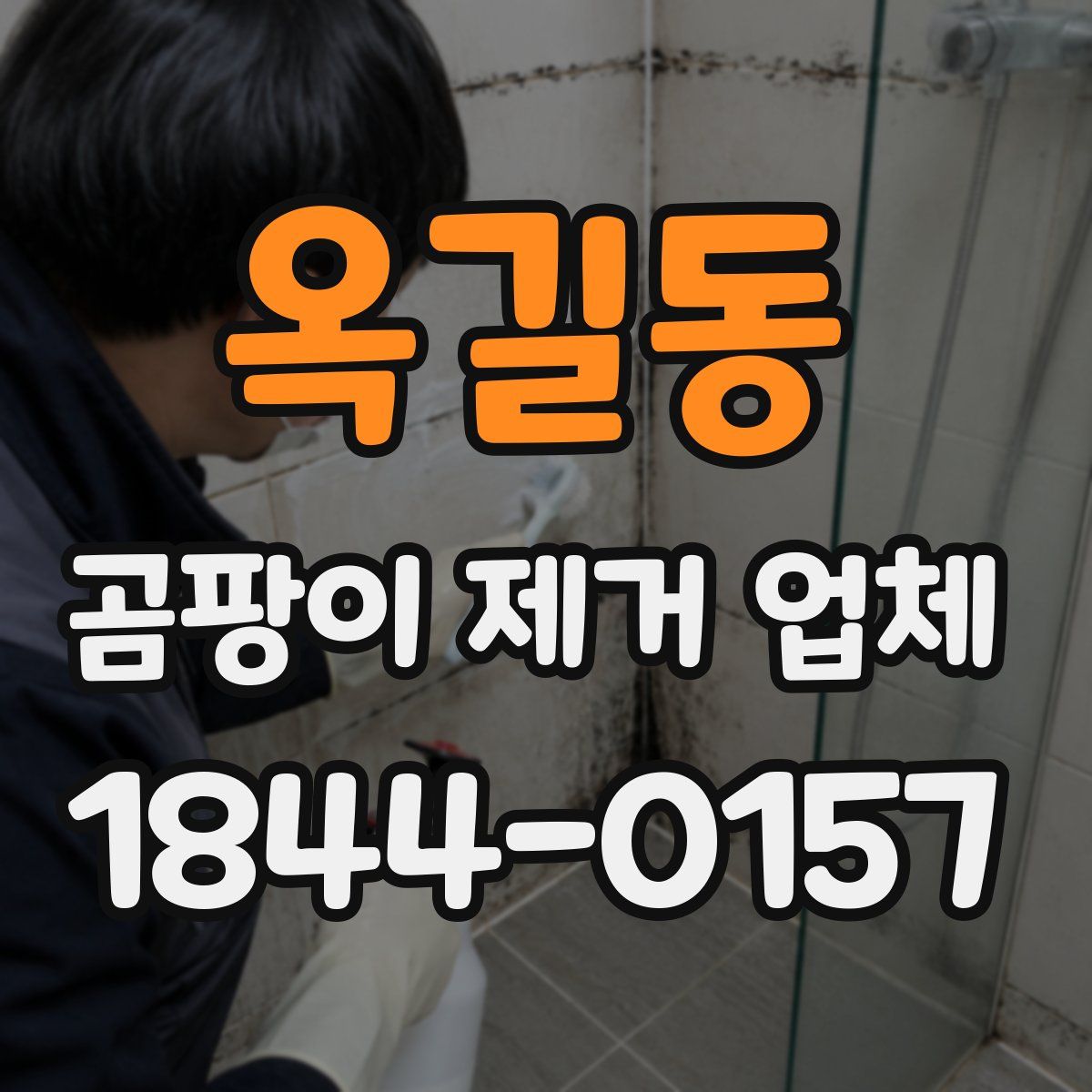 옥길동 곰팡이 제거 업체