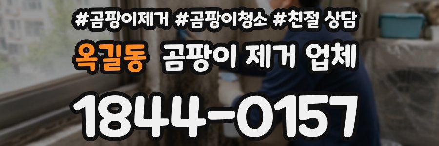 옥길동 곰팡이 제거 업체