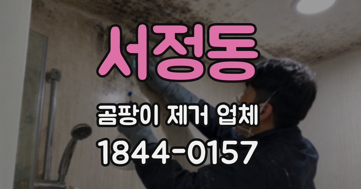 서정동 곰팡이 제거 업체