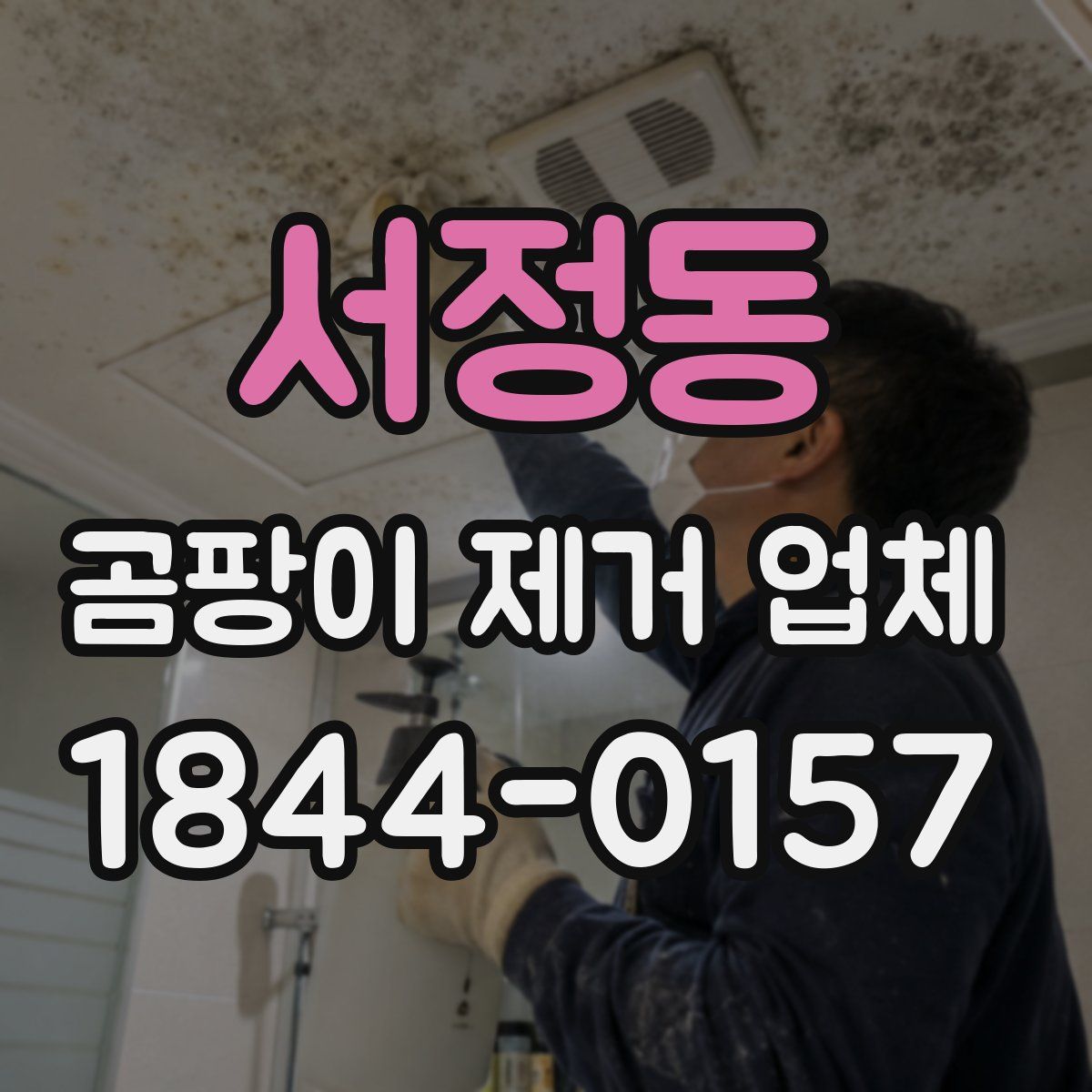 서정동 곰팡이 제거 업체