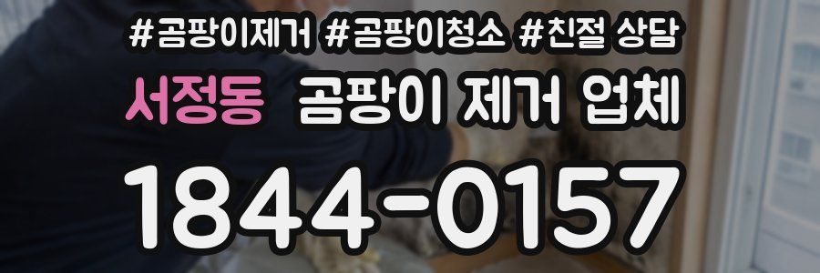 서정동 곰팡이 제거 업체