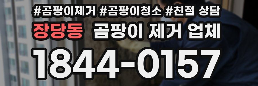 장당동 곰팡이 제거 업체