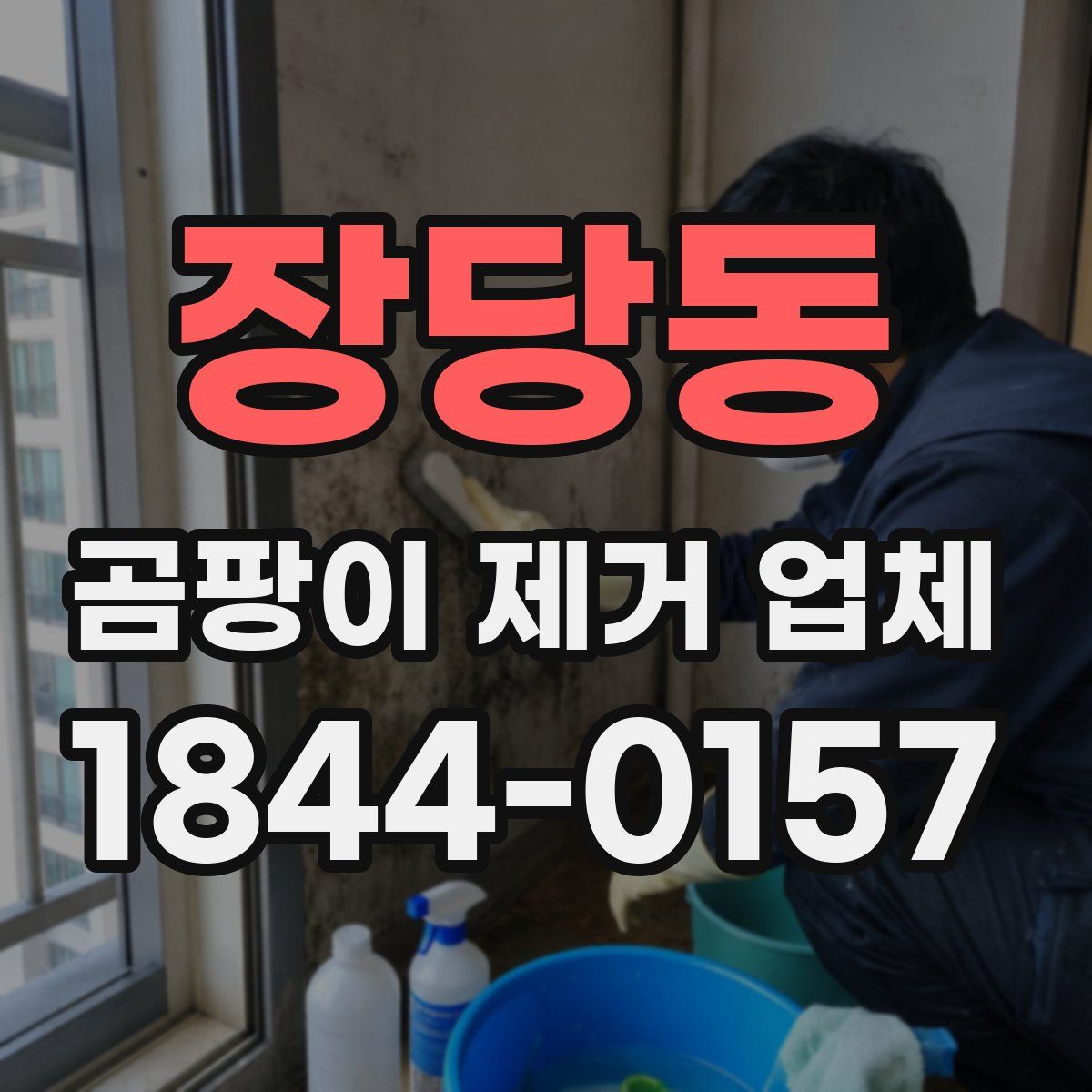 장당동 곰팡이 제거 업체