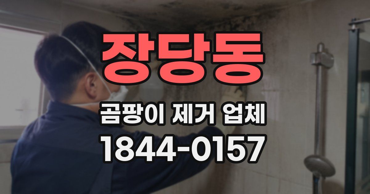 장당동 곰팡이 제거 업체