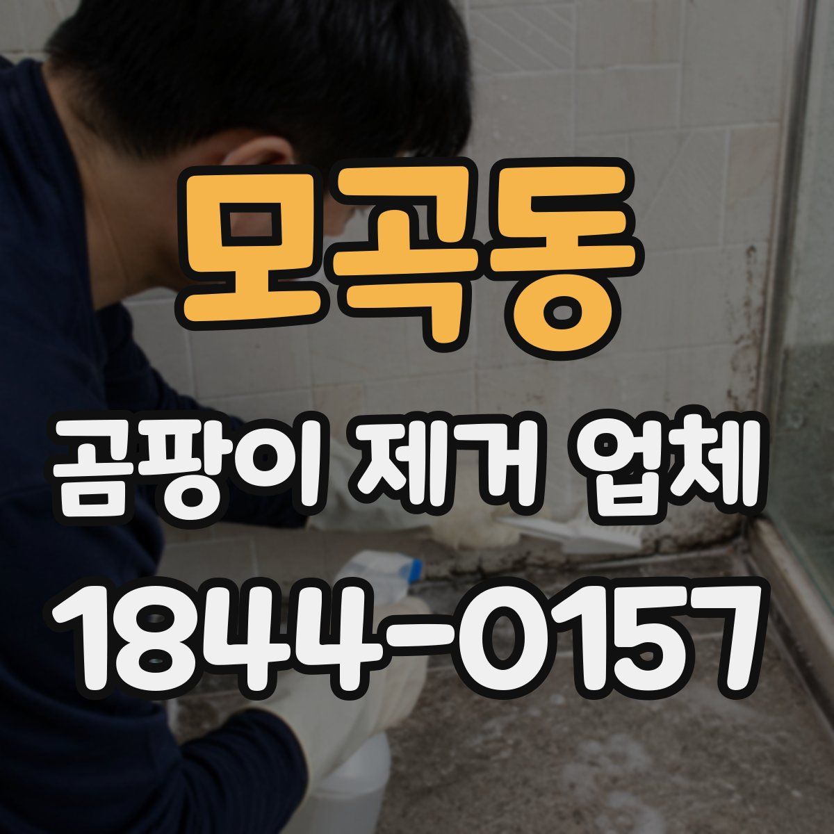 모곡동 곰팡이 제거 업체