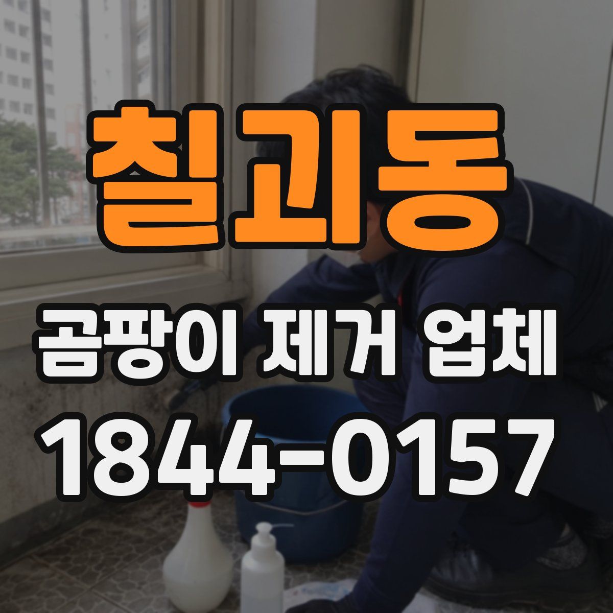 칠괴동 곰팡이 제거 업체