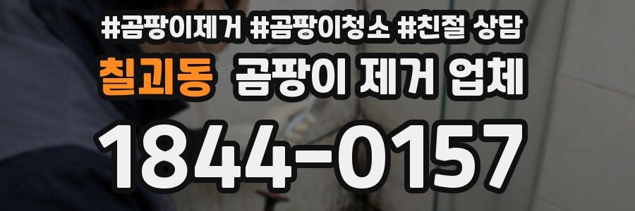 칠괴동 곰팡이 제거 업체