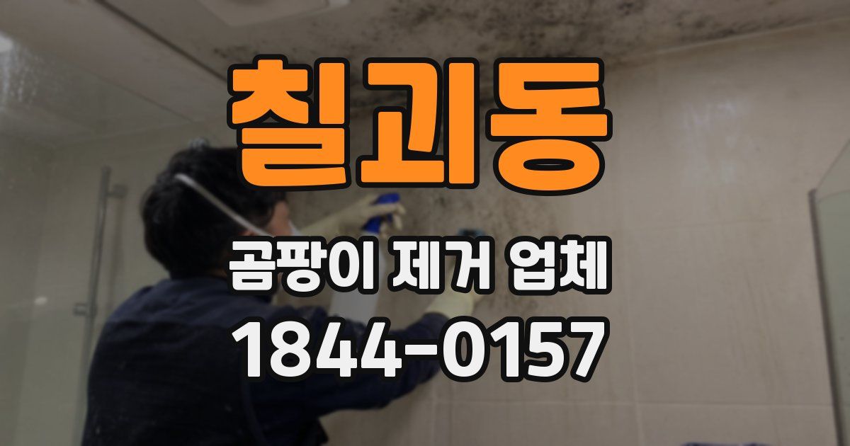 칠괴동 곰팡이 제거 업체