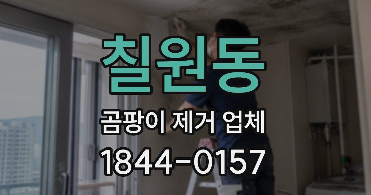 칠원동 곰팡이 제거 업체