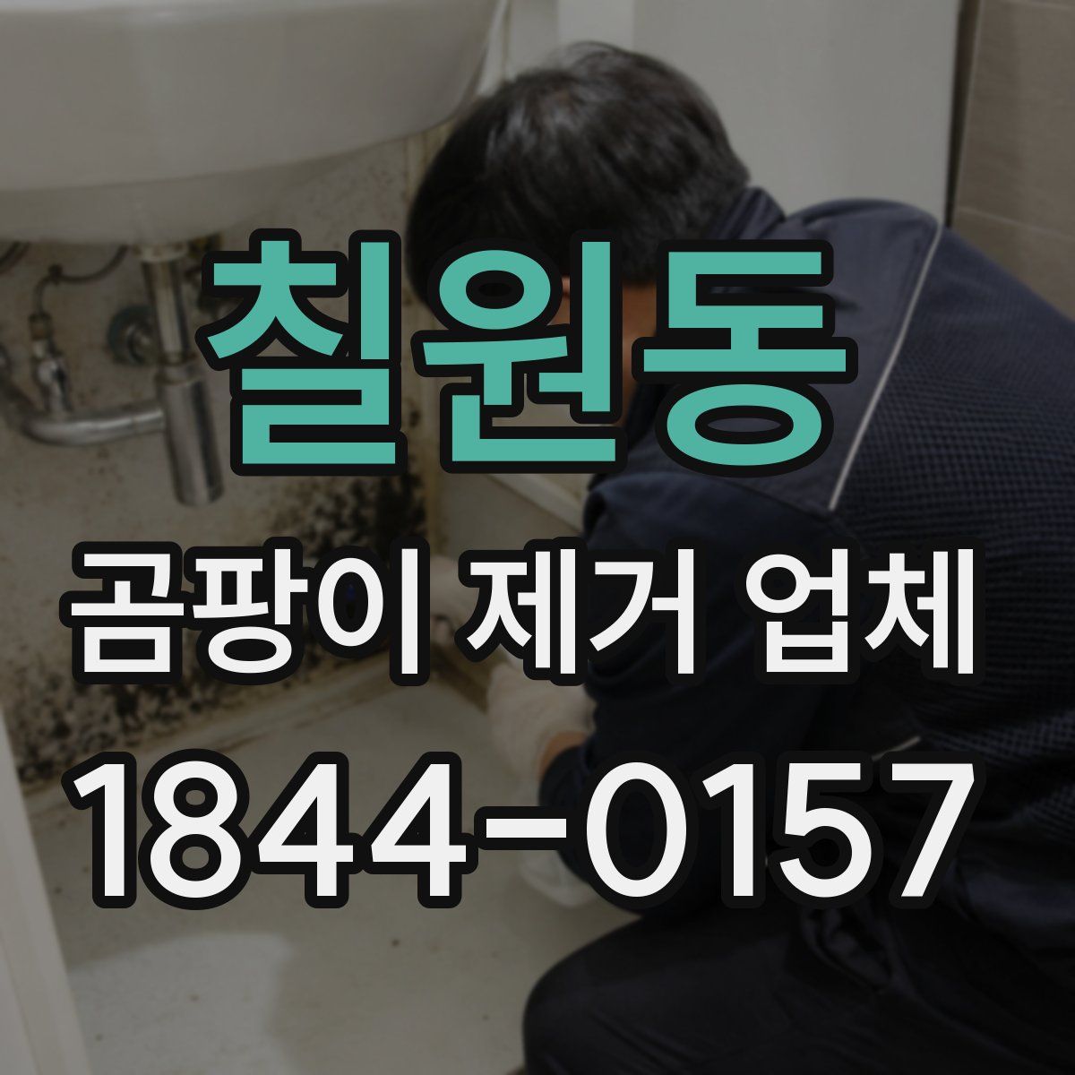 칠원동 곰팡이 제거 업체