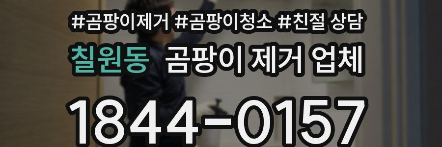 칠원동 곰팡이 제거 업체