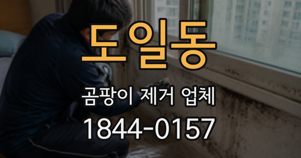 도일동 곰팡이 제거 업체