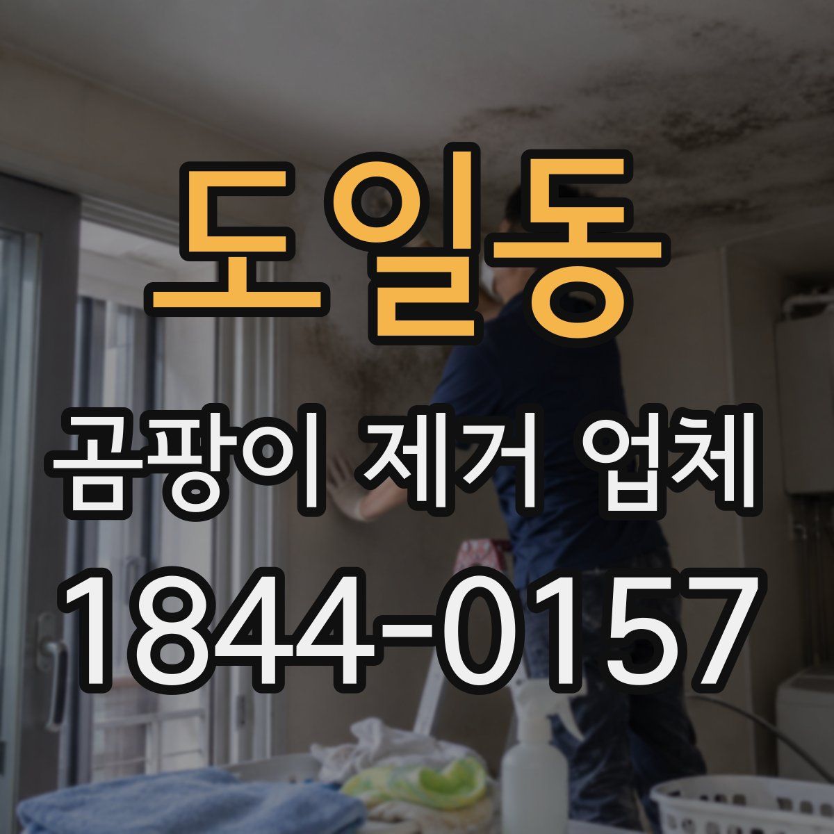 도일동 곰팡이 제거 업체