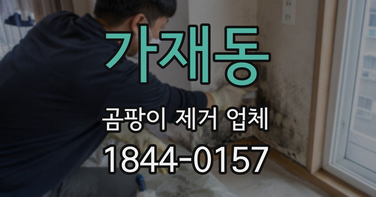 가재동 곰팡이 제거 업체