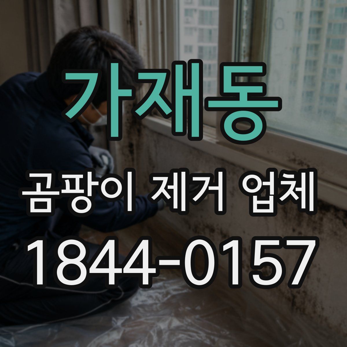 가재동 곰팡이 제거 업체
