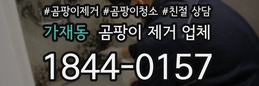 가재동 곰팡이 제거 업체