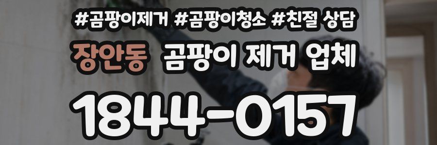 장안동 곰팡이 제거 업체