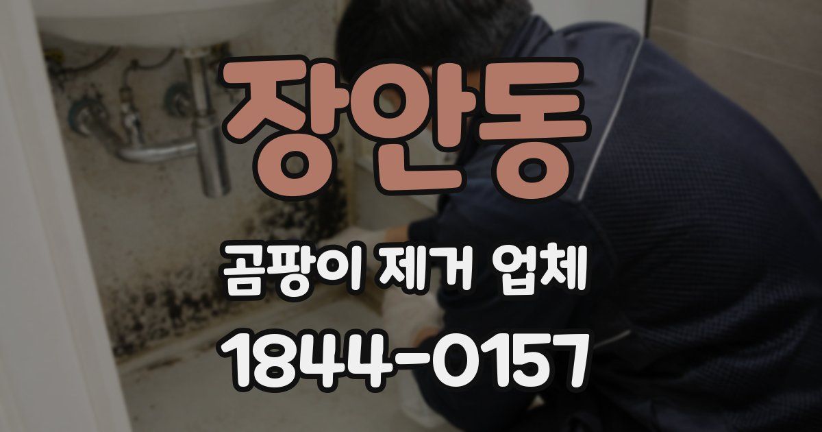 장안동 곰팡이 제거 업체