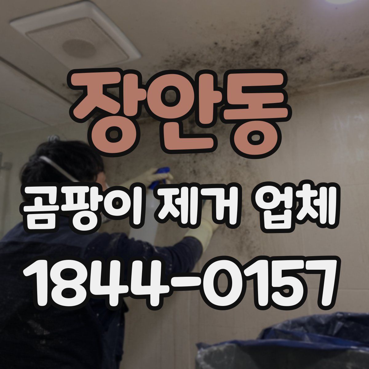 장안동 곰팡이 제거 업체