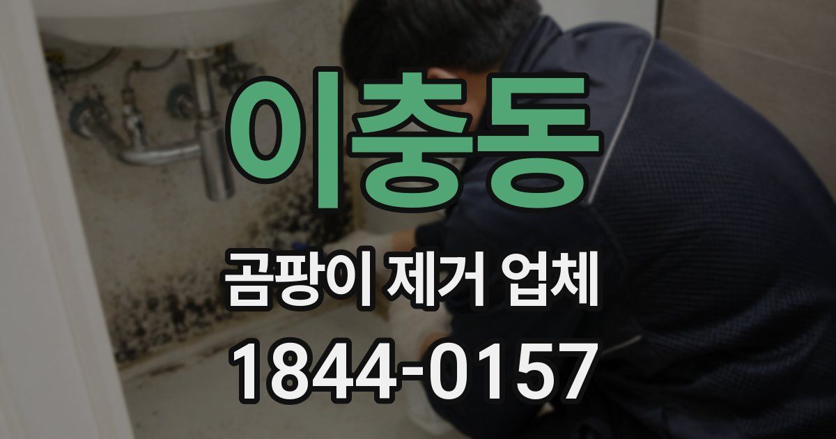 이충동 곰팡이 제거 업체