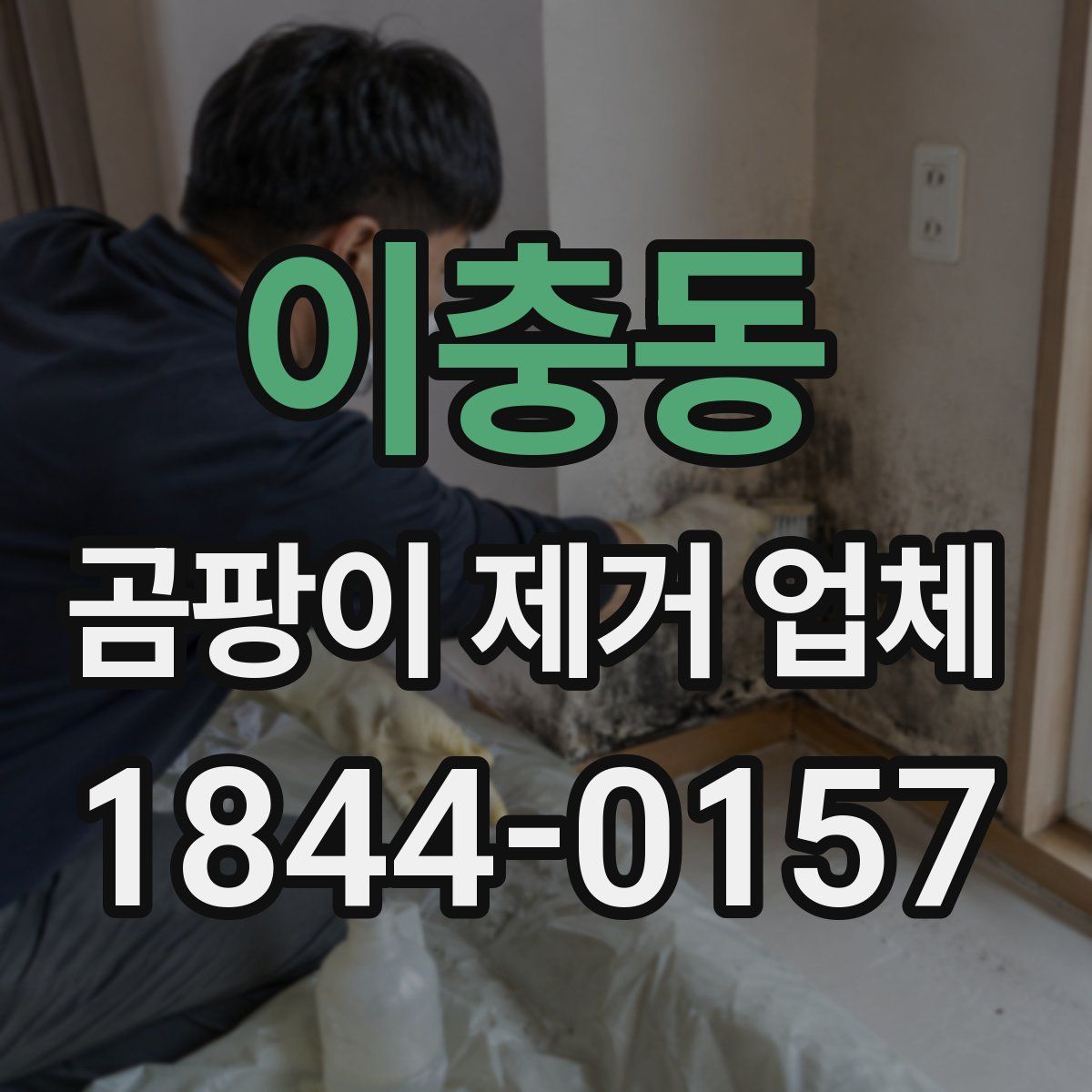 이충동 곰팡이 제거 업체