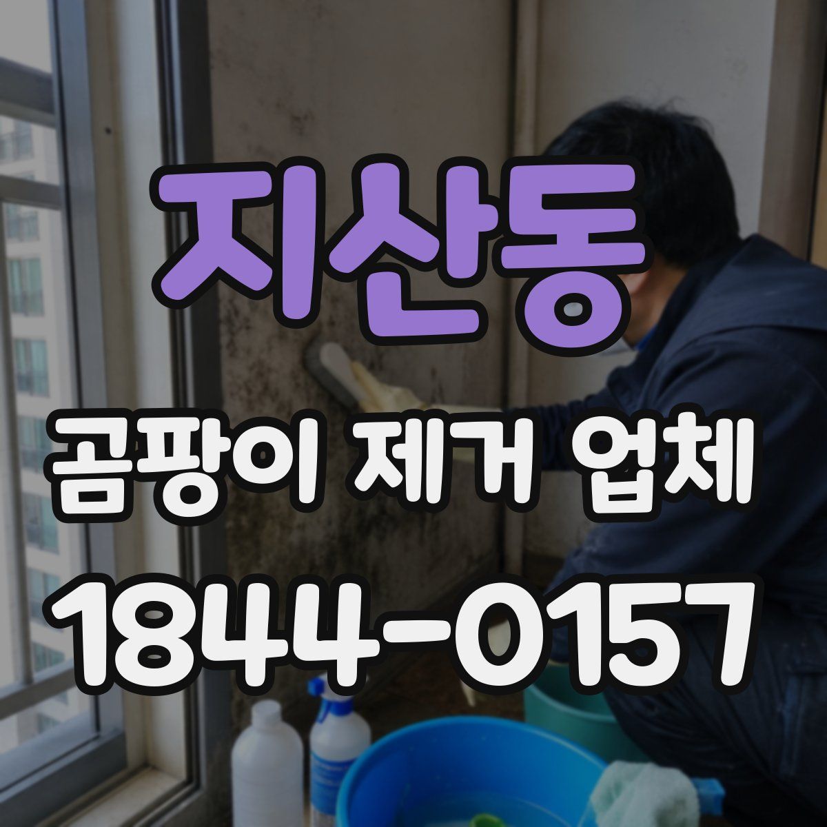 지산동 곰팡이 제거 업체