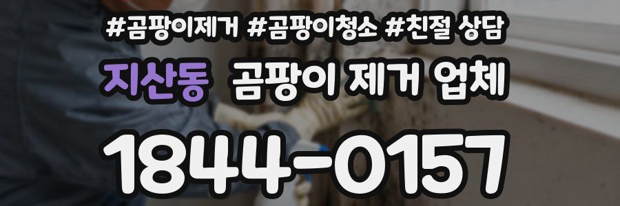 지산동 곰팡이 제거 업체