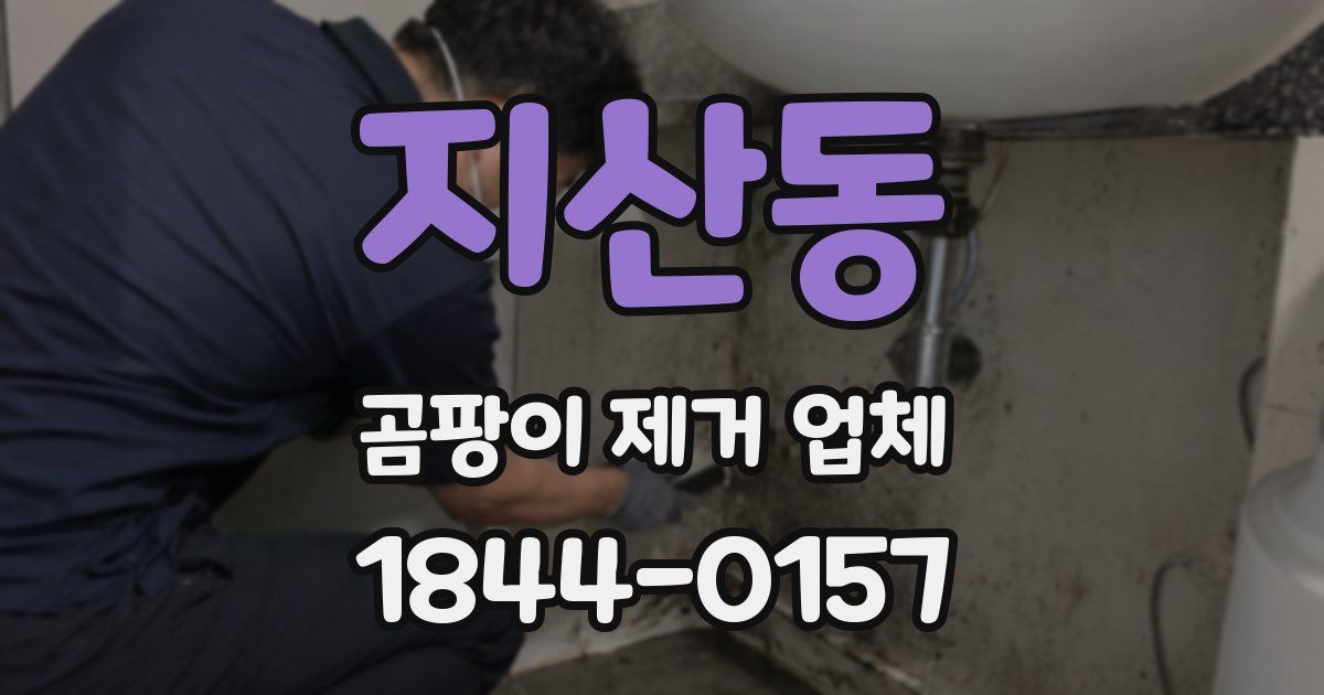 지산동 곰팡이 제거 업체