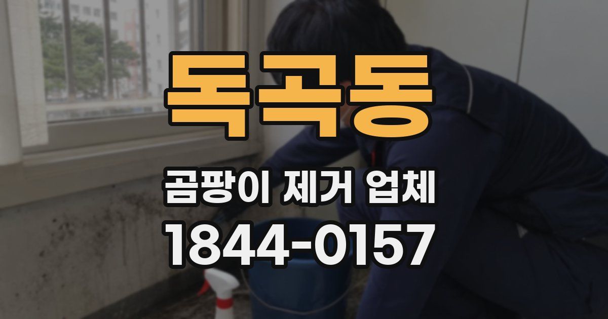 독곡동 곰팡이 제거 업체
