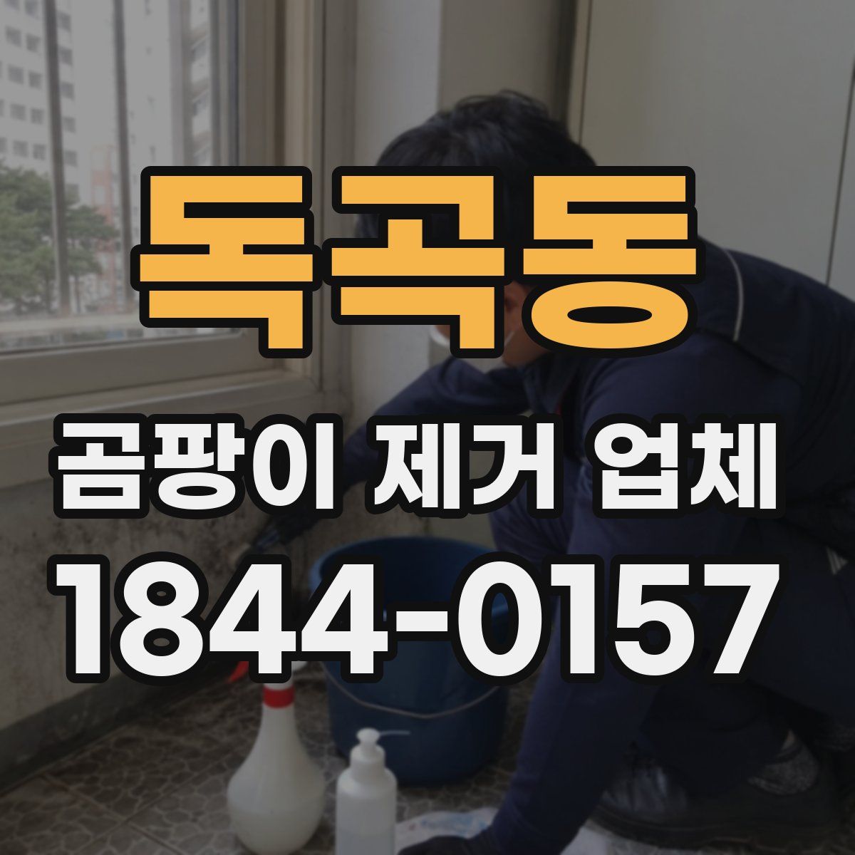 독곡동 곰팡이 제거 업체