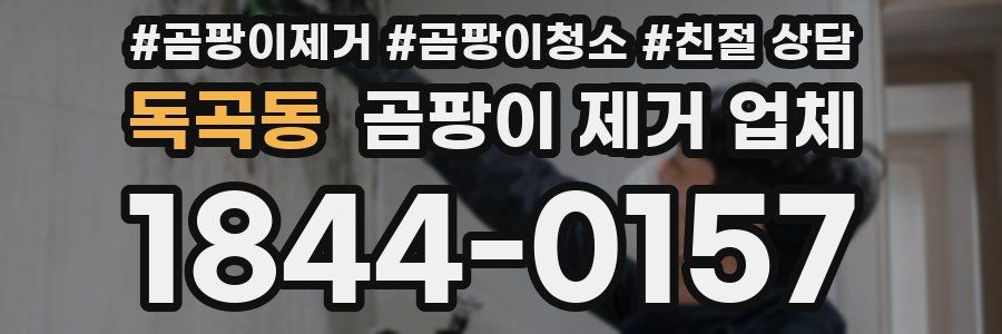 독곡동 곰팡이 제거 업체