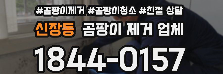 신장동 곰팡이 제거 업체