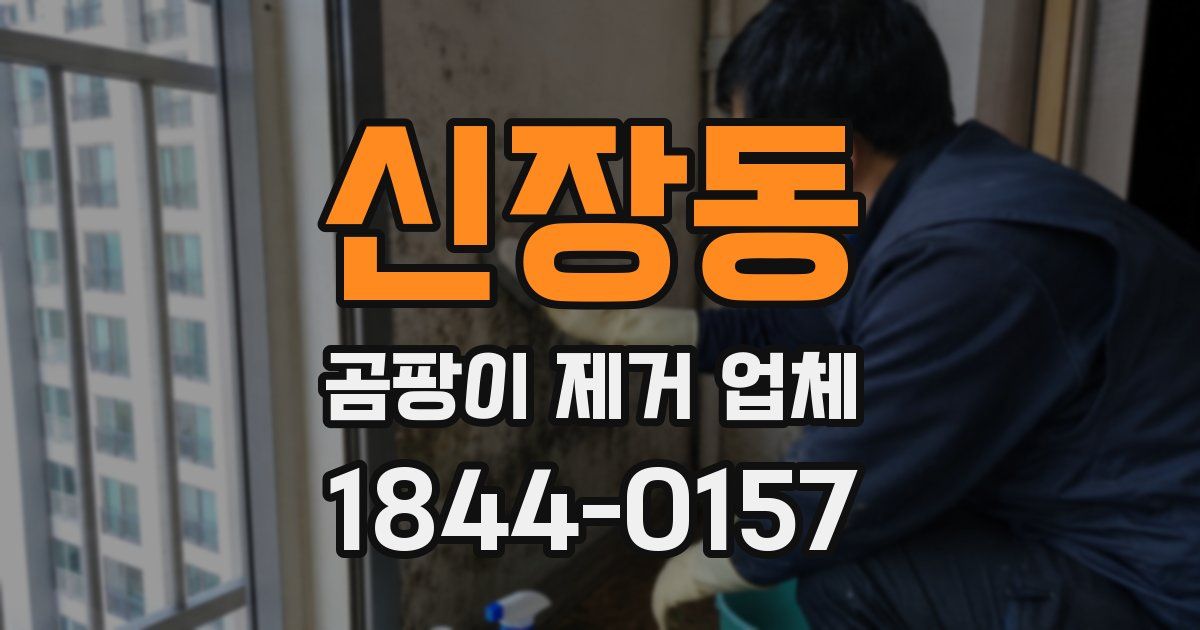 신장동 곰팡이 제거 업체