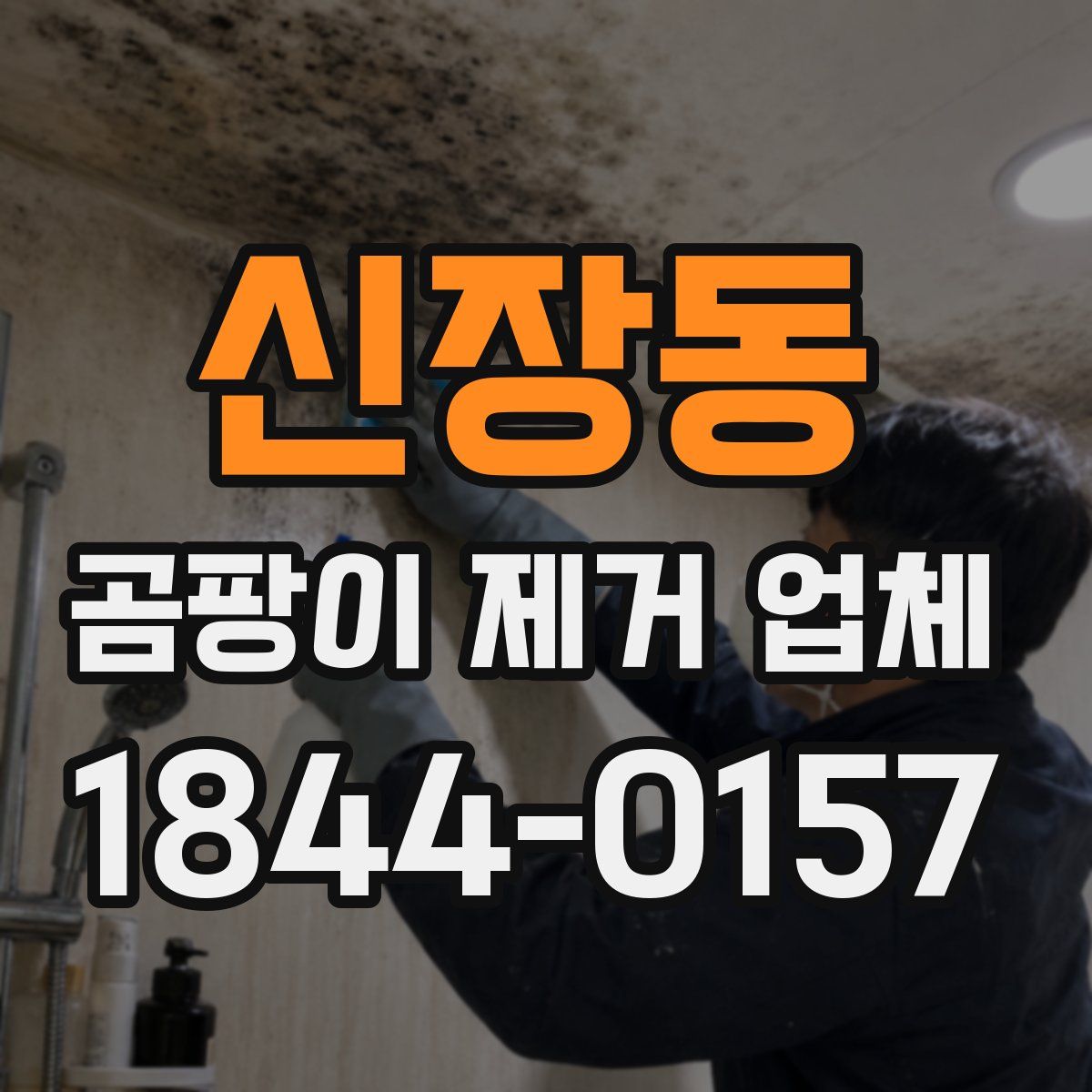 신장동 곰팡이 제거 업체