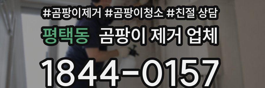 평택동 곰팡이 제거 업체