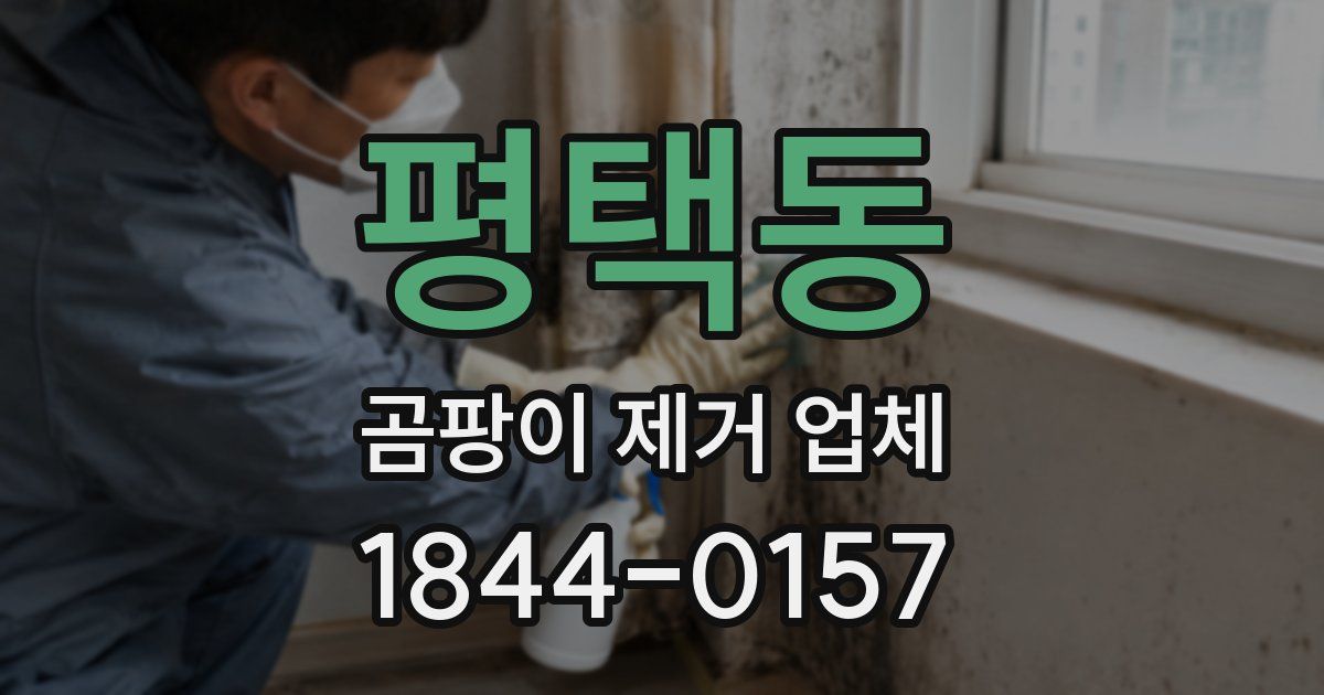 평택동 곰팡이 제거 업체
