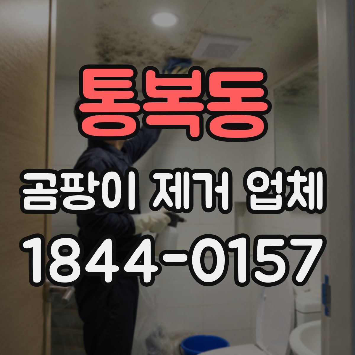 통복동 곰팡이 제거 업체